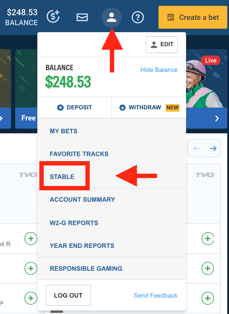 How do I manage my Stable on TVG?